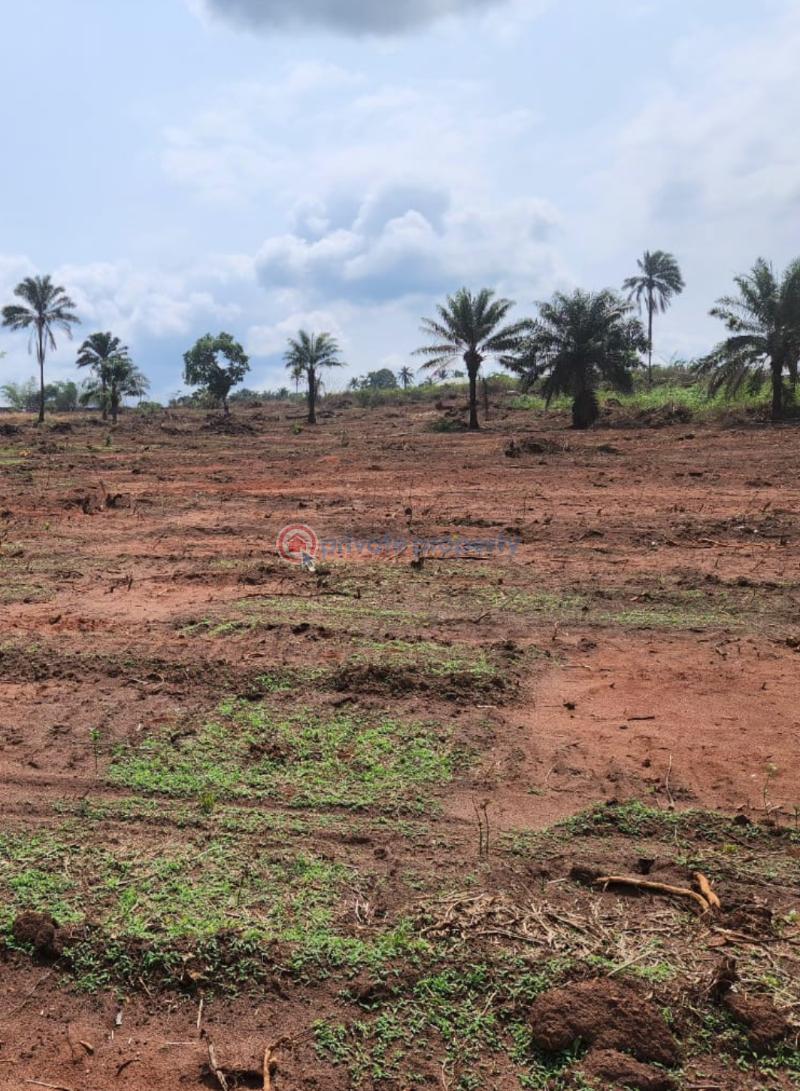 Mixed use Land For Sale Iheoma Estate Ubulukwu Benin Asaba Express Road Asaba Delta - 6