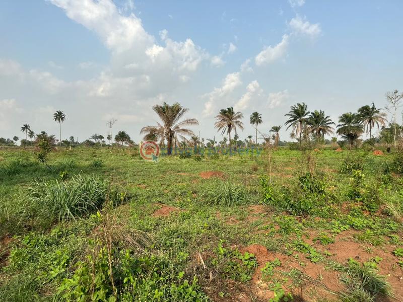 Mixed use Land For Sale Iheoma Estate Ubulukwu Benin Asaba Express Road Asaba Delta - 18