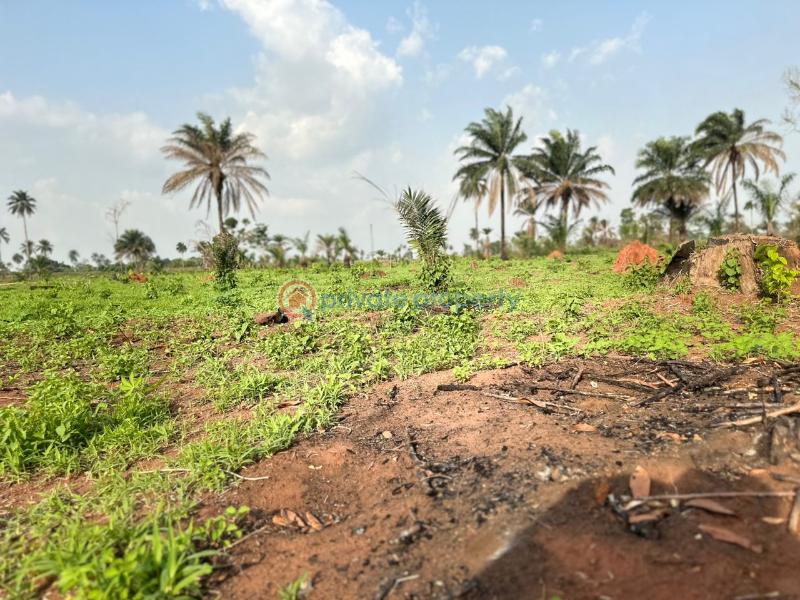 Mixed use Land For Sale Iheoma Estate Ubulukwu Benin Asaba Express Road Asaba Delta - 3
