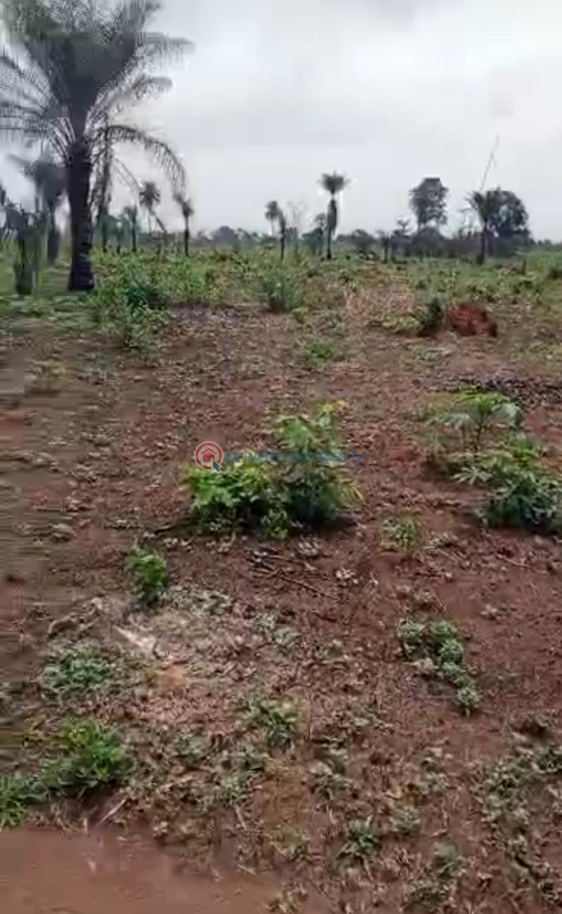 Mixed use Land For Sale Iheoma Estate Ubulukwu Benin Asaba Express Road Asaba Delta - 9
