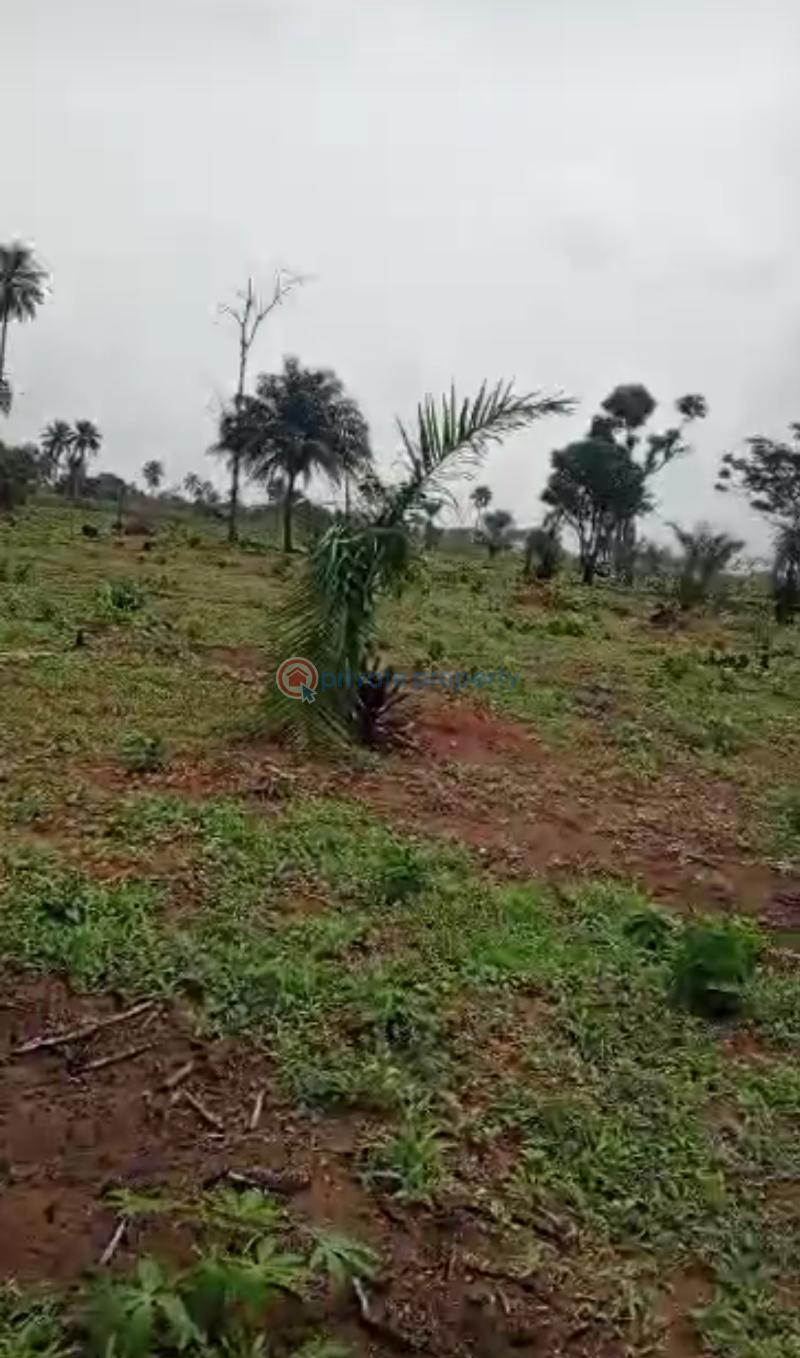 Mixed use Land For Sale Iheoma Estate Ubulukwu Benin Asaba Express Road Asaba Delta - 10