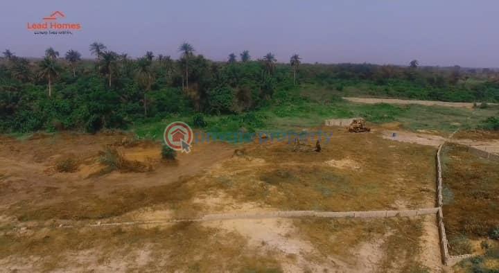 Residential Land For Sale 4 Stars Estate Behind Lekki Free Trade Zone In Close Proximity To Dangote Refinery And Dangote Jetty Ibeju-Lekki Lagos - 5
