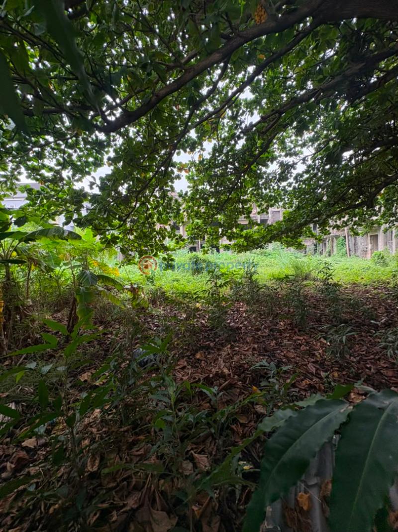 Residential Land For Sale Osborne Foreshore Estate Ikoyi Lagos - 4