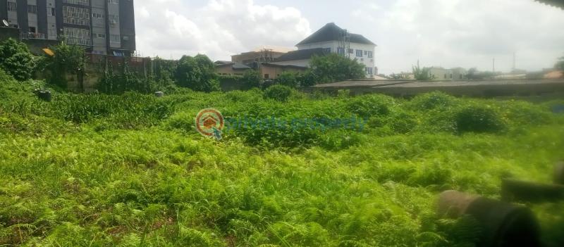 Land For Sale Opebi Ikeja Lagos - 2