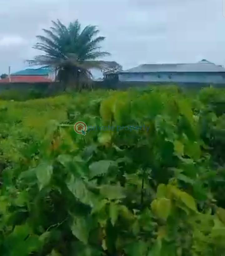 Land For Sale Besides Nnpc Filling Station Abijo Ajah Lagos - 1
