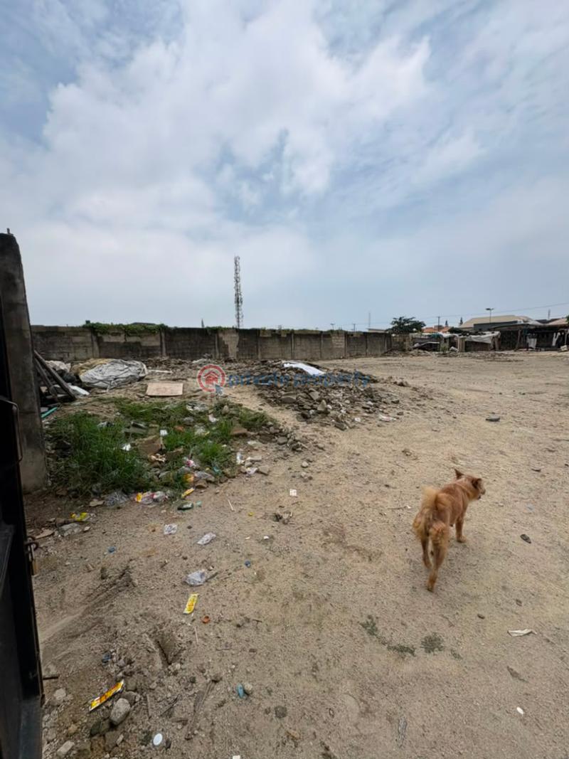 Residential Land For Sale Lekki Phase 1 Lagos - 3