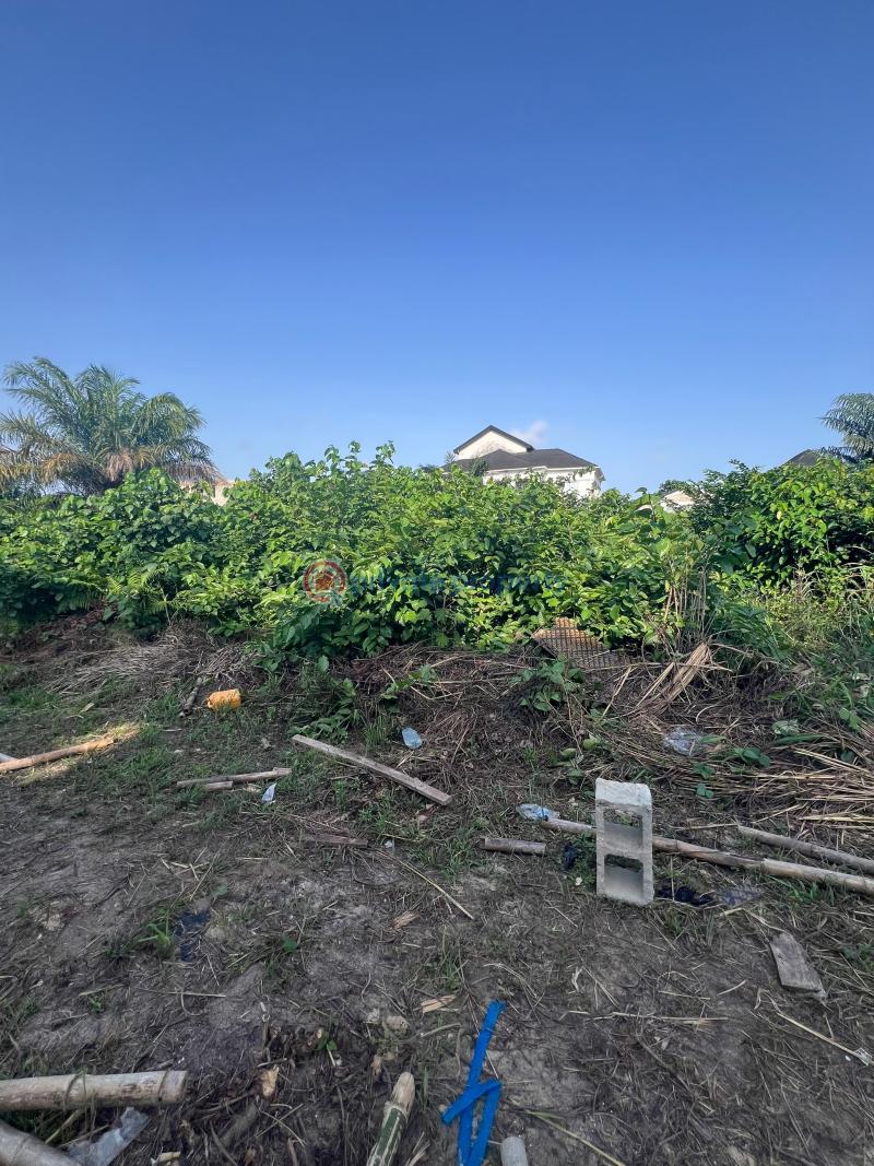 Residential Land For Sale Diamond Estate Phase 3, Ajayi Apata, Sangotedo, Lekki Sangotedo Ajah Lagos - 2