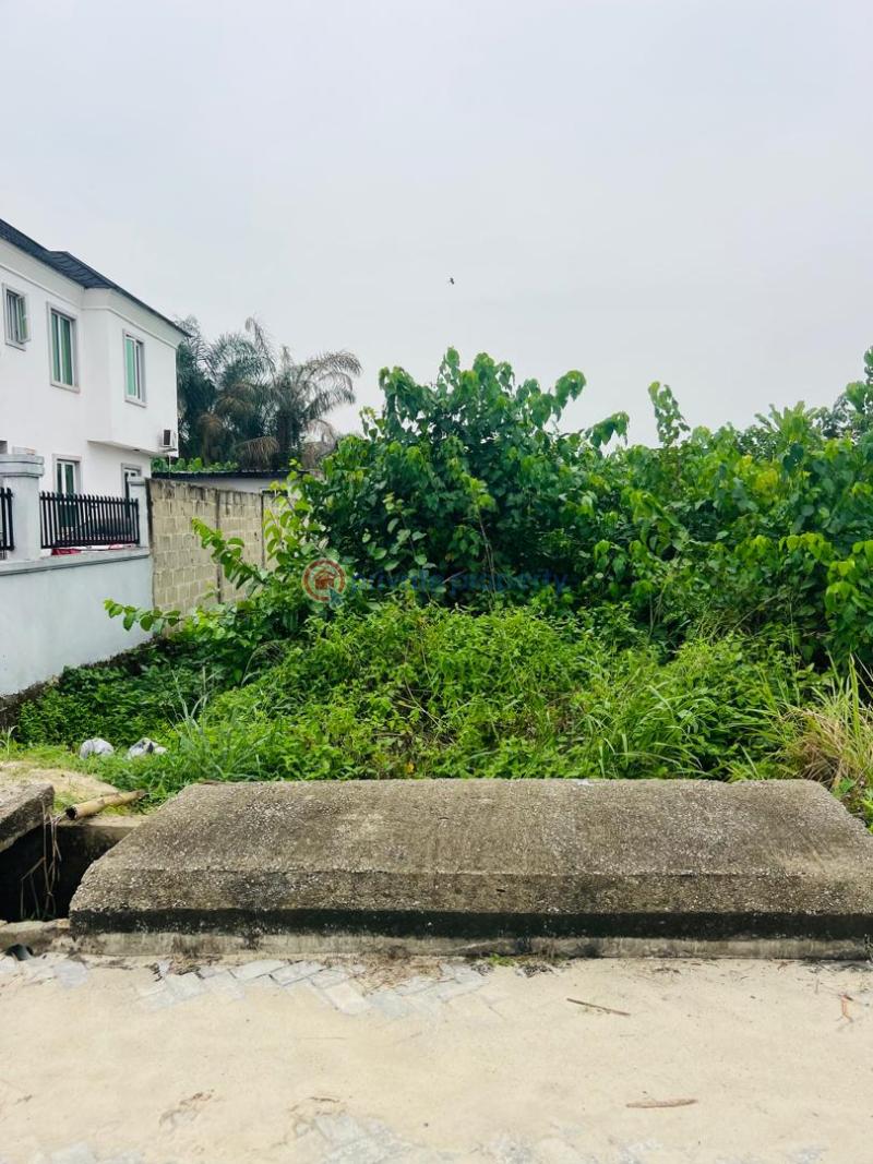 Residential Land For Sale Diamond Estate Phase 2 In Ajayi Apata Beside Fara Park Sangotedo Ajah Lagos - 6