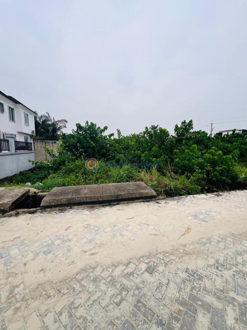 Residential Land For Sale Diamond Estate Phase 2 In Ajayi Apata Beside Fara Park Sangotedo Ajah Lagos - 1
