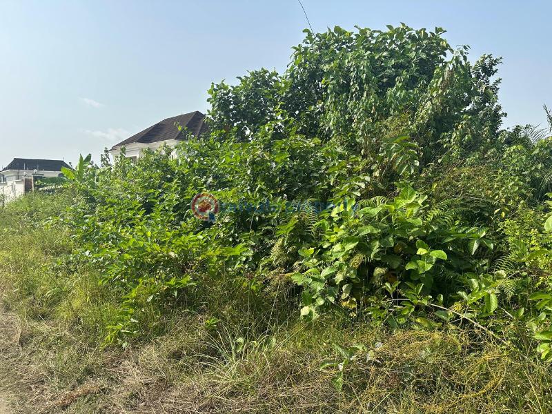 Mixed use Land For Sale Lekki Lagos - 1