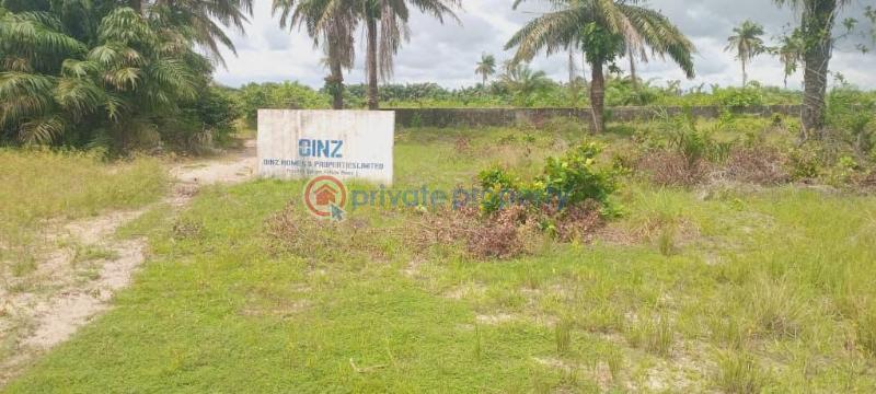 Residential Land For Sale Prestige Gardens Phase 1 Ise Town Ibeju-Lekki Lagos - 3