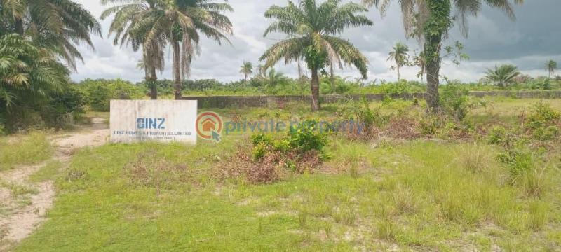 Residential Land For Sale Prestige Gardens Phase 1 Ise Town Ibeju-Lekki Lagos - 1