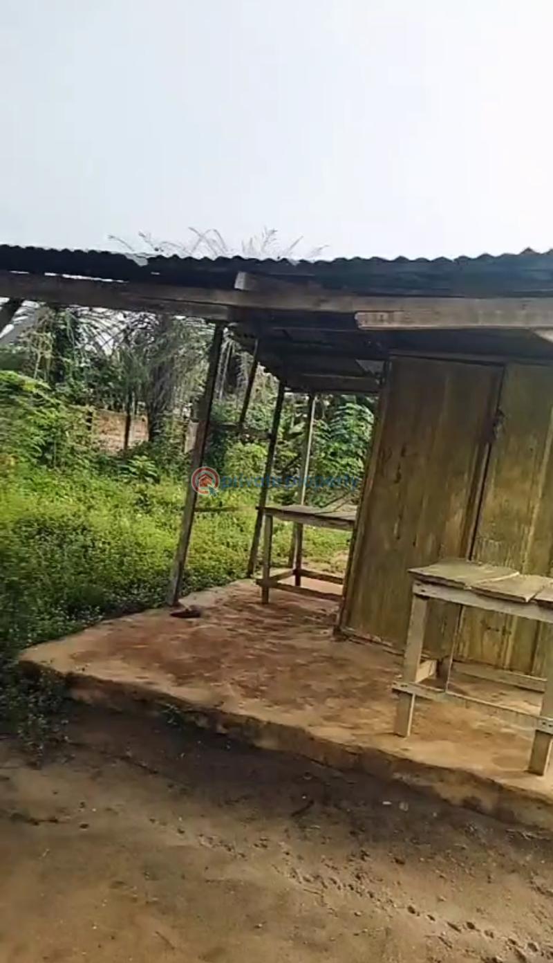 Mixed use Land For Sale Off Ekenwan Road, About A 45 Seconds Walk From Ugbioko Primary School, Along Poultry Road Benin Edo - 0