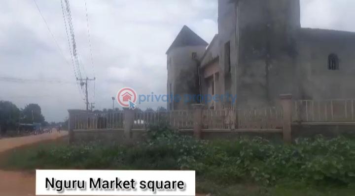 Mixed use Land For Sale Ngor Okpala Ngor-Okpala Imo - 3