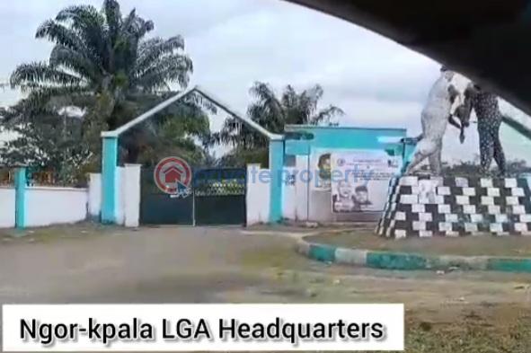 Mixed use Land For Sale Ngor Okpala Ngor-Okpala Imo - 2