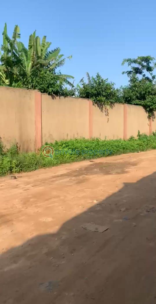 Mixed use Land For Sale Asseese Obafemi Owode Ogun - 2