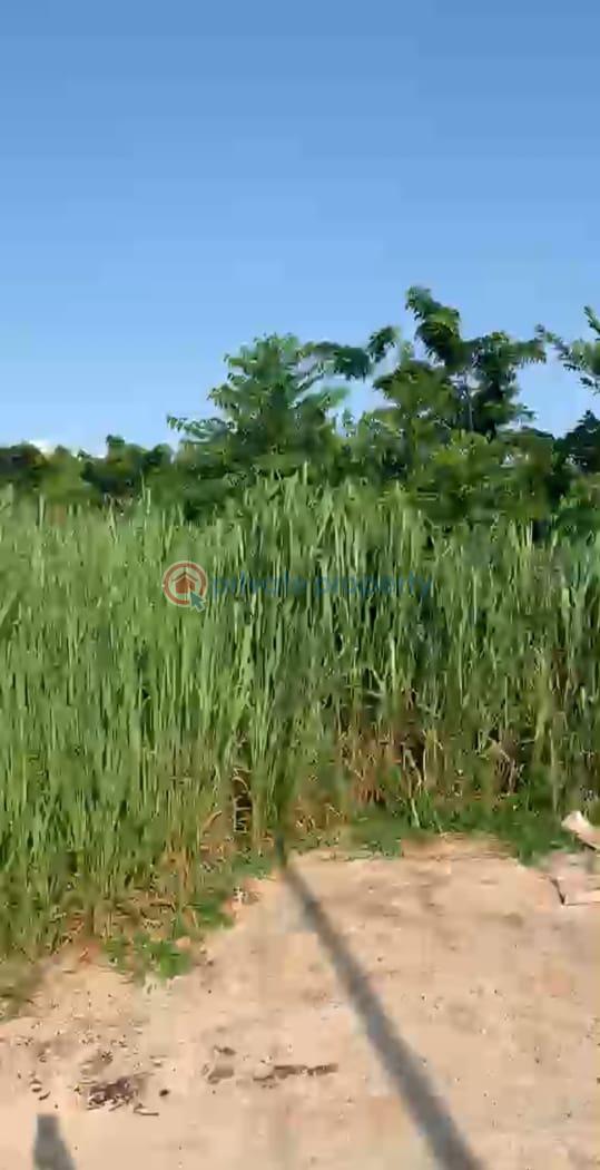 Mixed use Land For Sale Asseese Obafemi Owode Ogun - 3