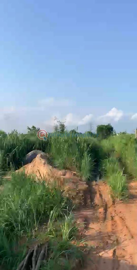 Mixed use Land For Sale Asseese Obafemi Owode Ogun - 4