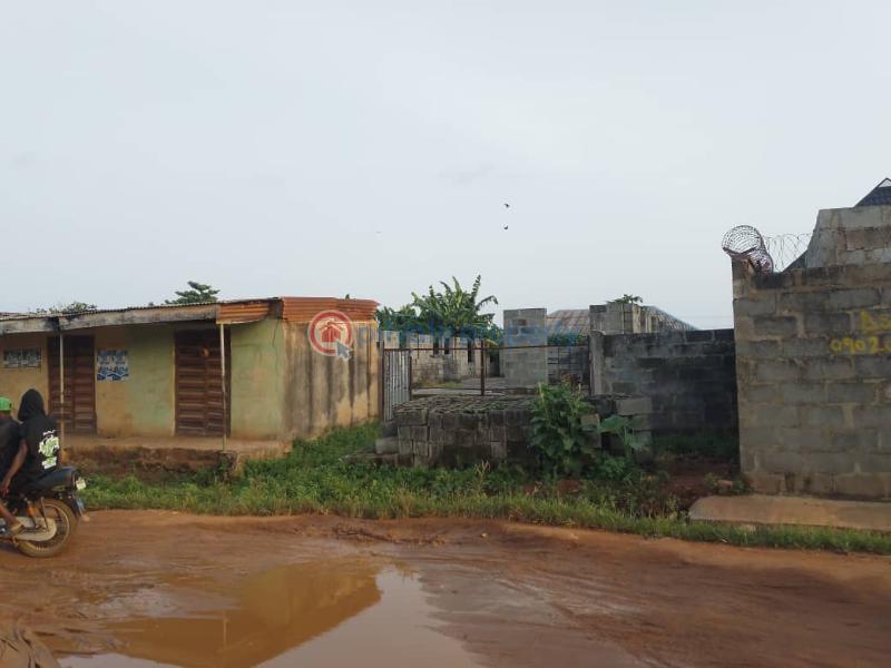 Residential Land For Sale Olorunnishola Ipaja Ayobo Ipaja Lagos - 5