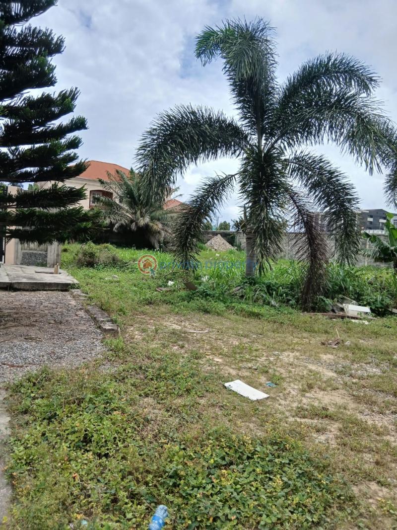 Land For Sale Nicon Town Lekki Lagos - 0