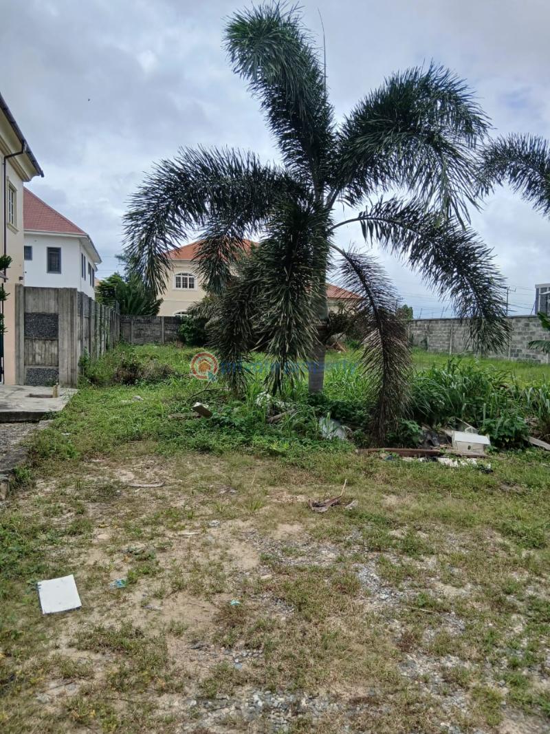Land For Sale Nicon Town Lekki Lagos - 3