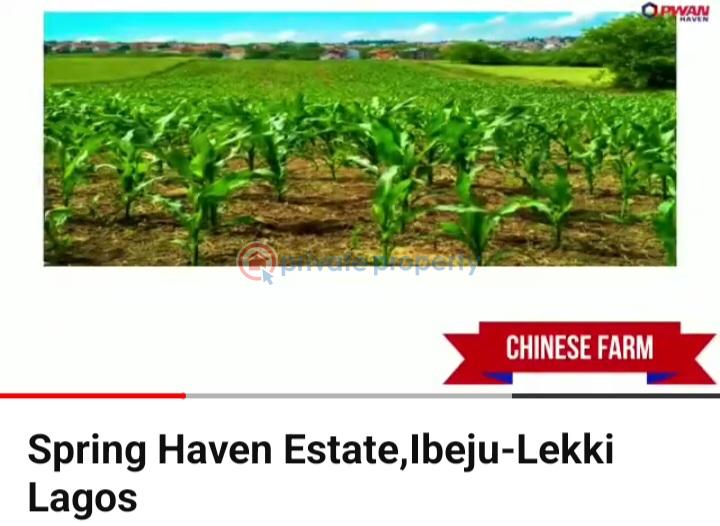 Mixed use Land For Sale Akodo Ise Ibeju-Lekki Lagos - 6