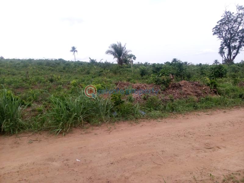 Residential Land For Sale Princeville Estate With No Hidden Charges Erebe Ketu Epe Lagos - 1