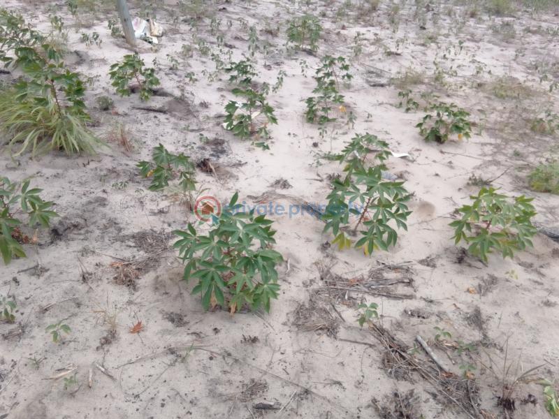 Residential Land For Sale Suncity Estate Afon Off Eyenkorin Road Asa Lga Close To Olam Grain Industry Ilorin Kwara - 3