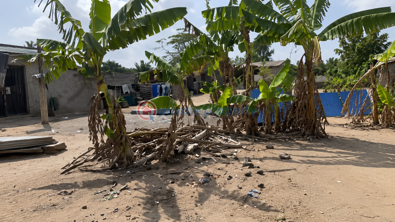 Residential Land For Sale Ibeju-Lekki Lagos - 2
