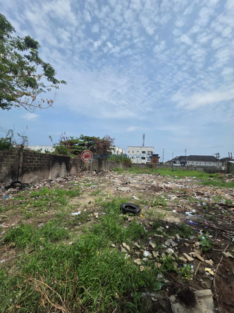 Residential Land For Sale Carlton Gate Estate Chevron Drive Lekki Lagos - 1