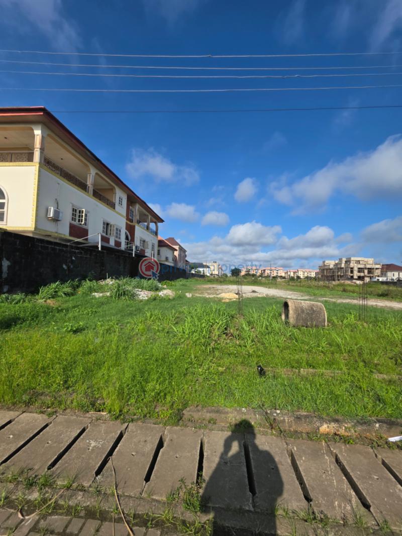 Residential Land For Sale Fountain Springville Estate Sangotedo Ajah Lagos - 2