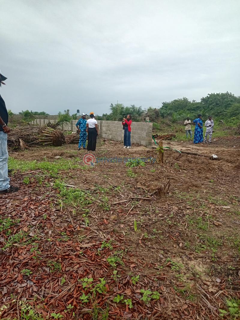 Land For Sale Eleran Igbe Ibeju-Lekki Lagos - 0