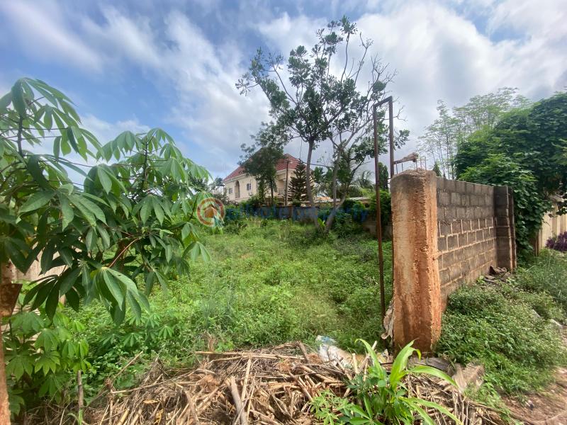 Mixed use Land For Sale Trans Ekulu Enugu Suburb Enugu Area  - 7