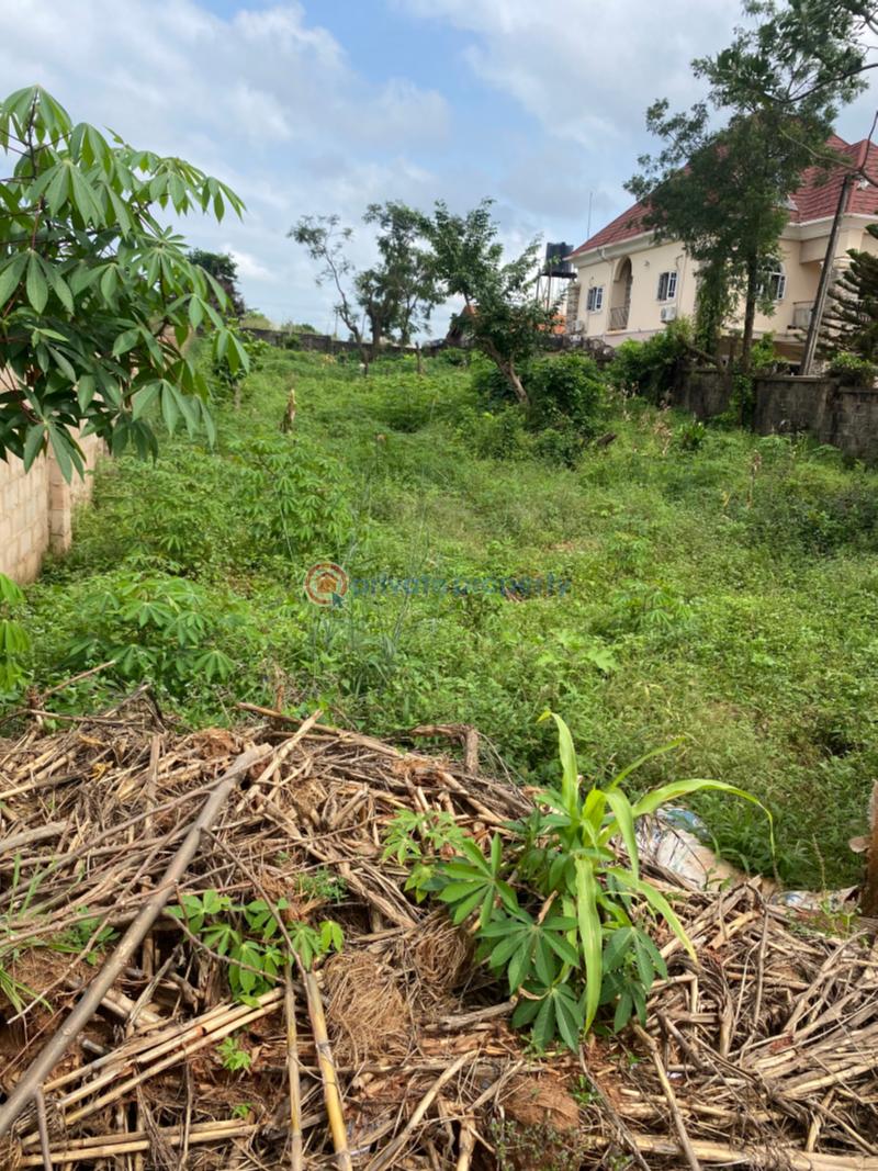 Mixed use Land For Sale Trans Ekulu Enugu Suburb Enugu Area  - 5