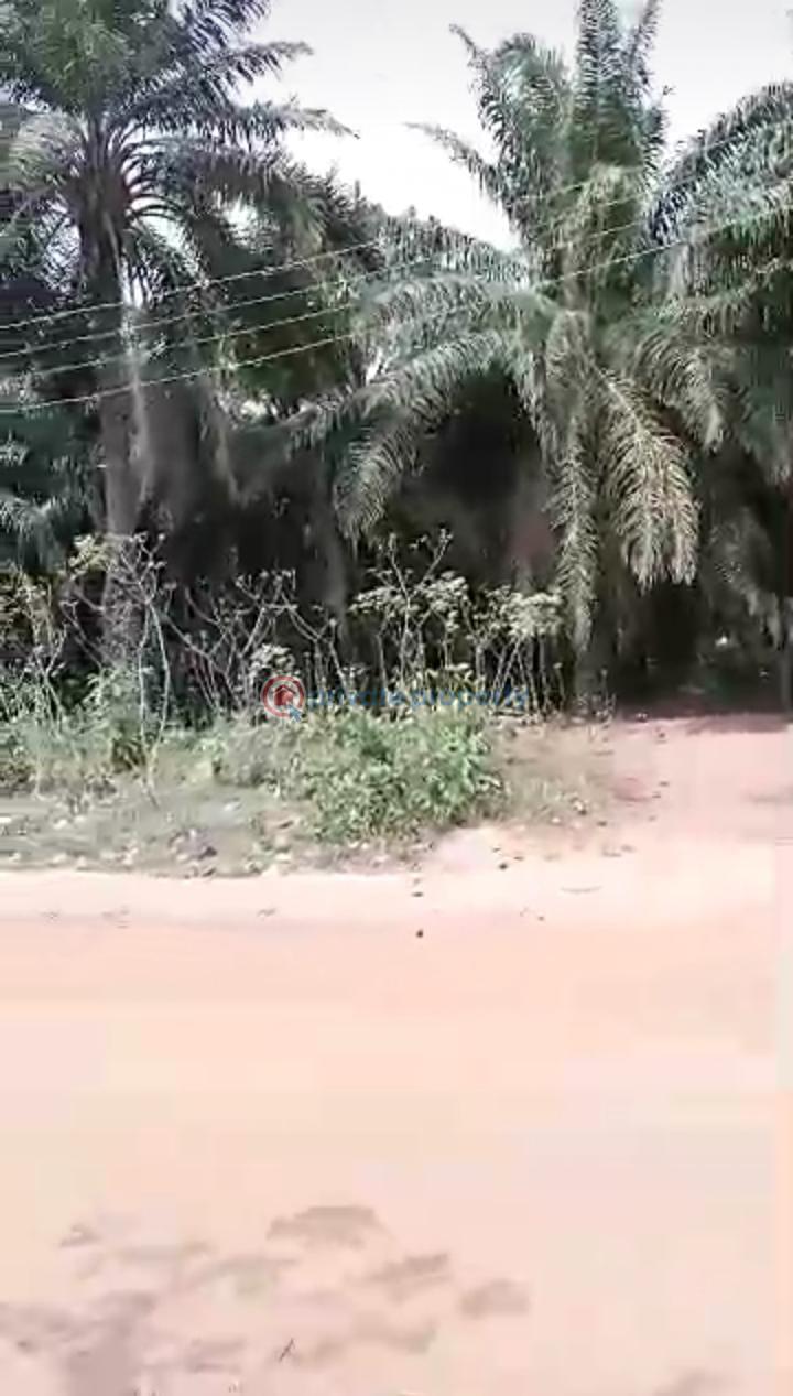 Land property - 4 Land For Sale Benin By Pass Off Benin Agbor Road ,benin City, Edo State Benin Edo - 4