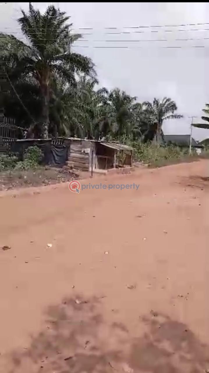 Land property - 5 Land For Sale Benin By Pass Off Benin Agbor Road ,benin City, Edo State Benin Edo - 5