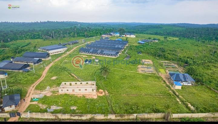 Land For Sale Agborun Village, Iyana Obafemi Bus Stop, Ogun State. Obafemi Owode Ogun - 9