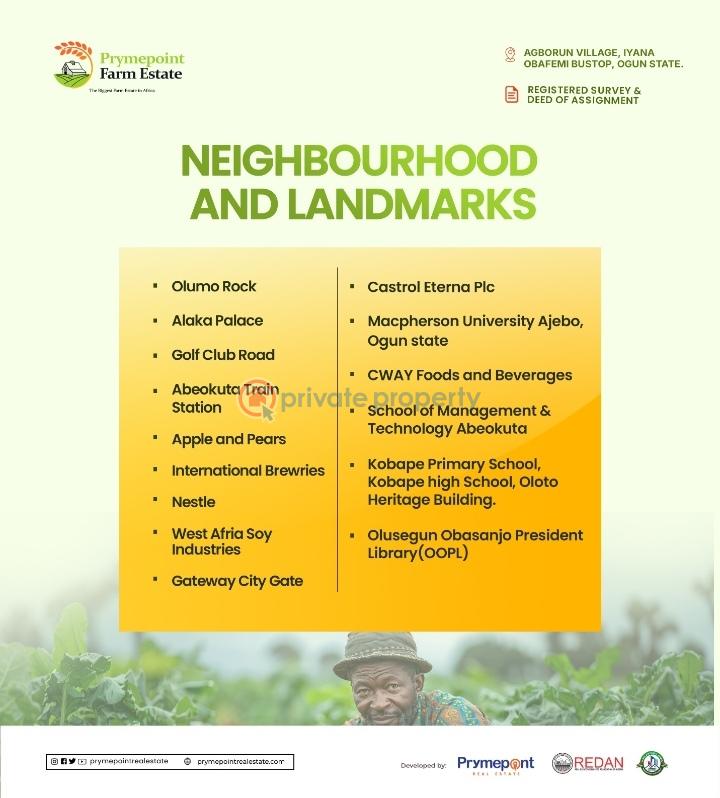 Land For Sale Agborun Village, Iyana Obafemi Bus Stop, Ogun State. Obafemi Owode Ogun - 7