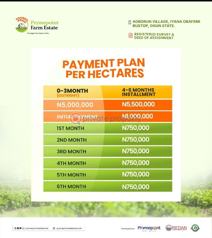 Land For Sale Agborun Village, Iyana Obafemi Bus Stop, Ogun State. Obafemi Owode Ogun - 3