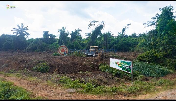 Land For Sale Agborun Village, Iyana Obafemi Bus Stop, Ogun State. Obafemi Owode Ogun - 8