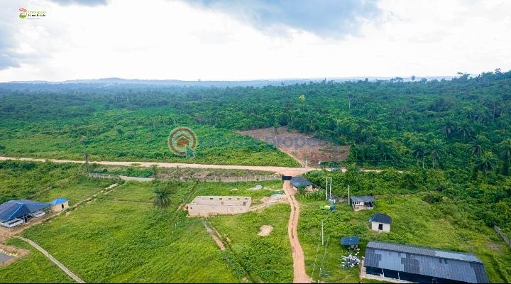 Land For Sale Agborun Village, Iyana Obafemi Bus Stop, Ogun State. Obafemi Owode Ogun - 11