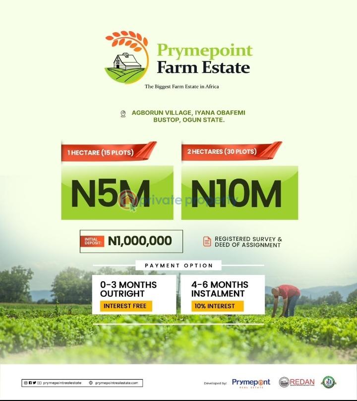 Land For Sale Agborun Village, Iyana Obafemi Bus Stop, Ogun State. Obafemi Owode Ogun - 1