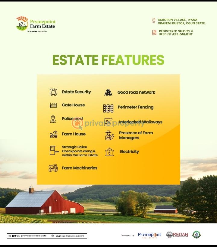 Land For Sale Agborun Village, Iyana Obafemi Bus Stop, Ogun State. Obafemi Owode Ogun - 5