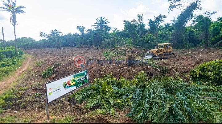 Land For Sale Agborun Village, Iyana Obafemi Bus Stop, Ogun State. Obafemi Owode Ogun - 6
