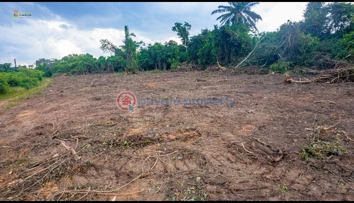 Land For Sale Agborun Village, Iyana Obafemi Bus Stop, Ogun State. Obafemi Owode Ogun - 10