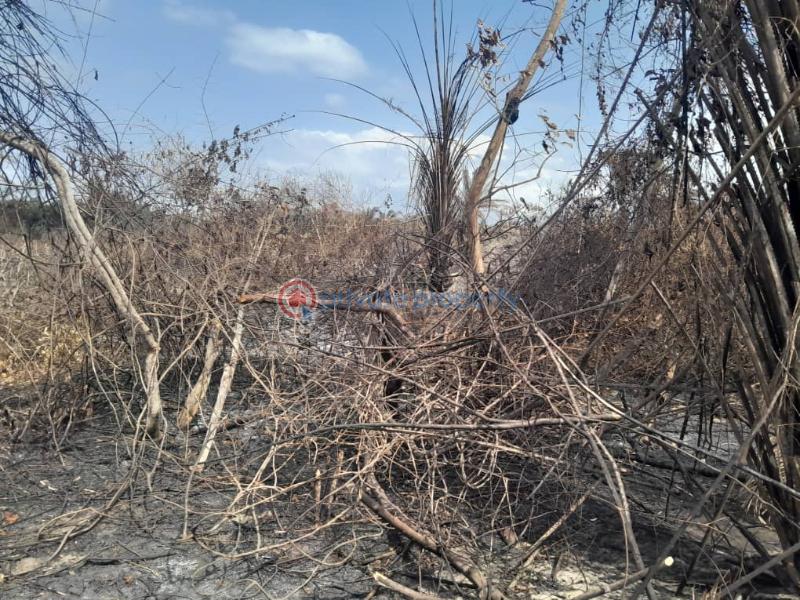 Mixed use Land For Sale Eleran Igbe Facing Lekki Epe Express Eay Eleran Igbe Ibeju-Lekki Lagos - 12