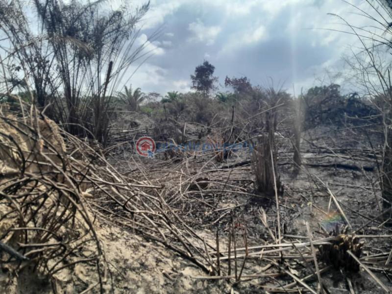 Mixed use Land For Sale Eleran Igbe Facing Lekki Epe Express Eay Eleran Igbe Ibeju-Lekki Lagos - 1