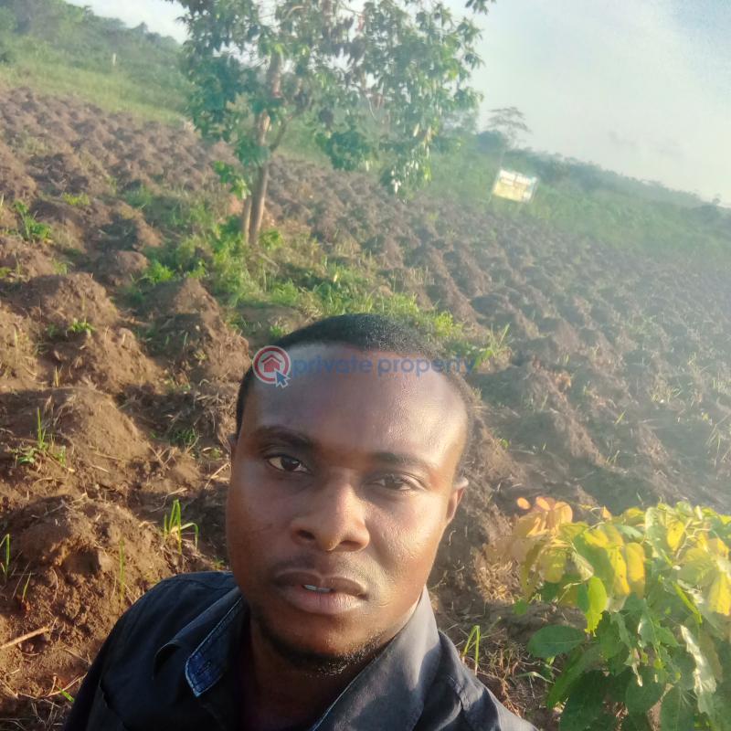 Land For Sale Itori Ewekoro Olujobi Community Ogun State Ogun Ogun area  - 2