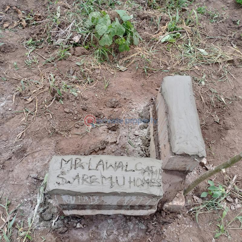 Land For Sale Itori Ewekoro Olujobi Community Ogun State Ogun Ogun area  - 1
