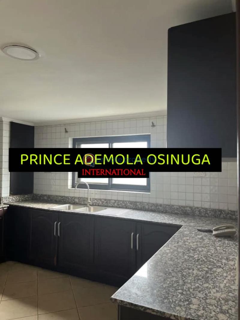 4 bedroom Flat & Apartment For Rent Old Ikoyi Lagos - 7